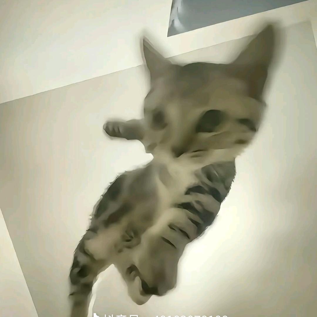 小童大王😈