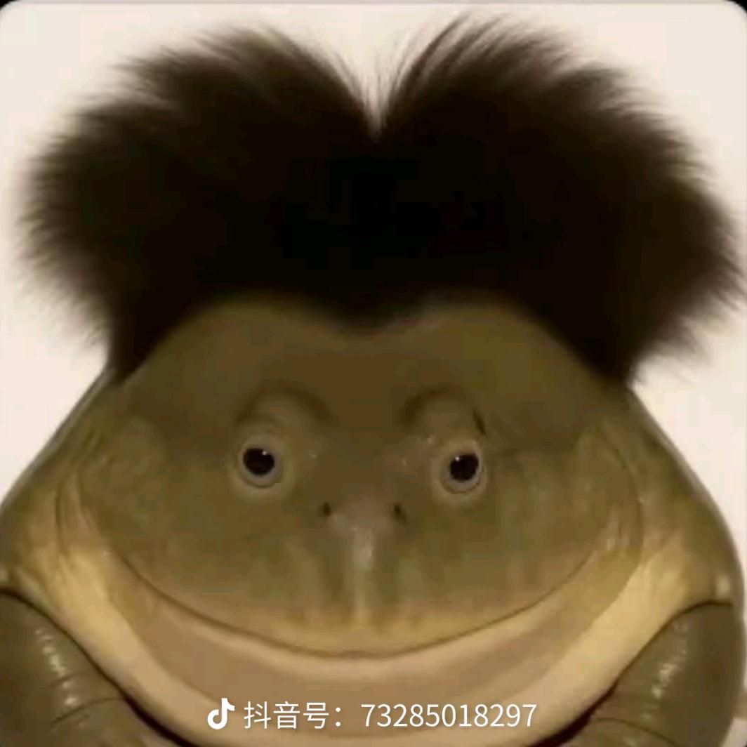 懒羊羊1