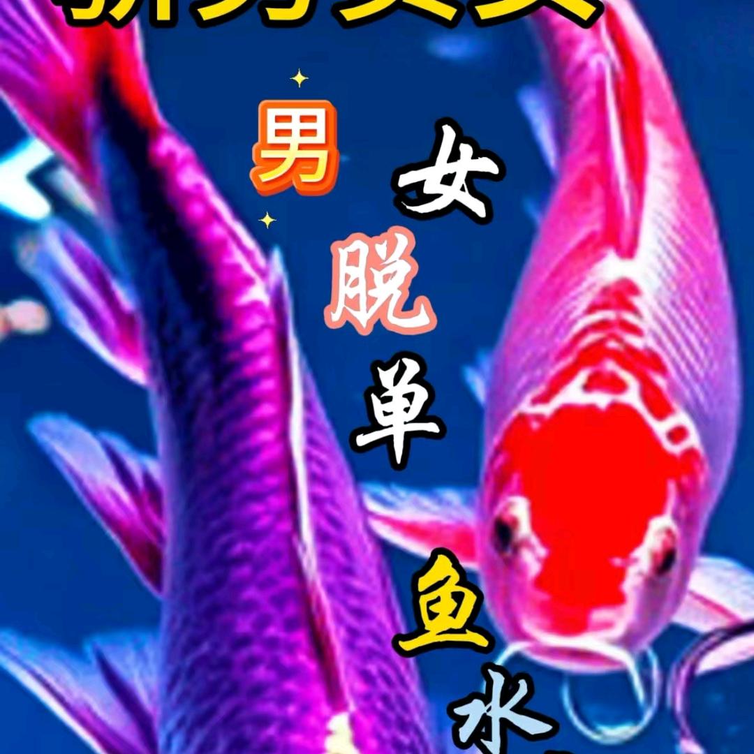 骄男贵女