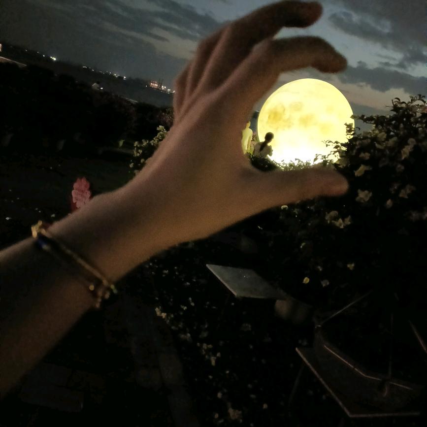 陪我去看海🧚🏻‍♀️