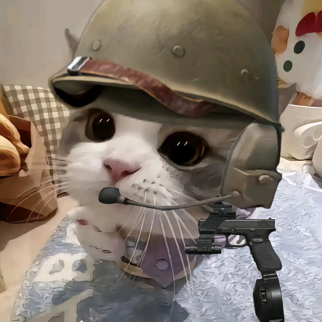 橘子（暗区突围）