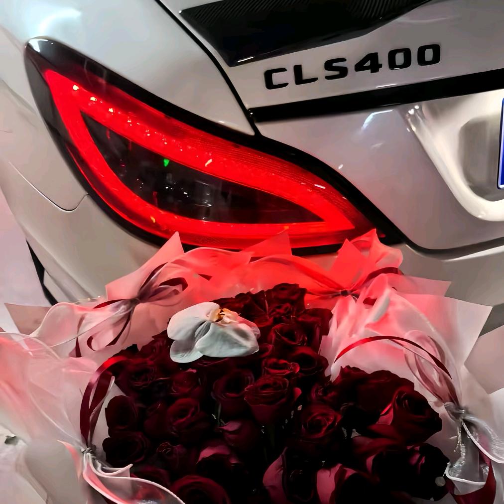 𝑨𝑴𝑮CLS63TerrorEye