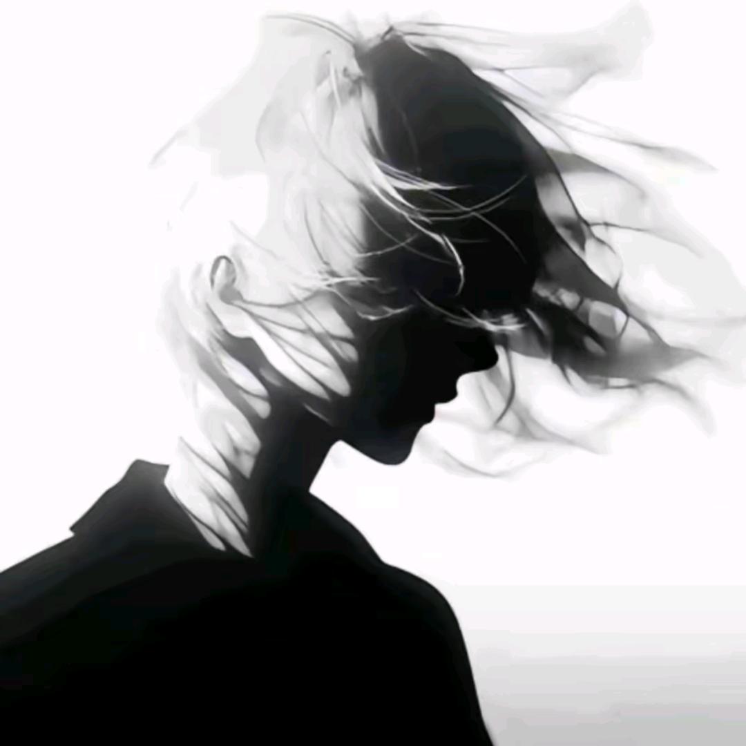 虎.