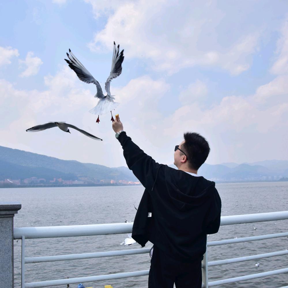 爱吃猫粮的鼠鼠