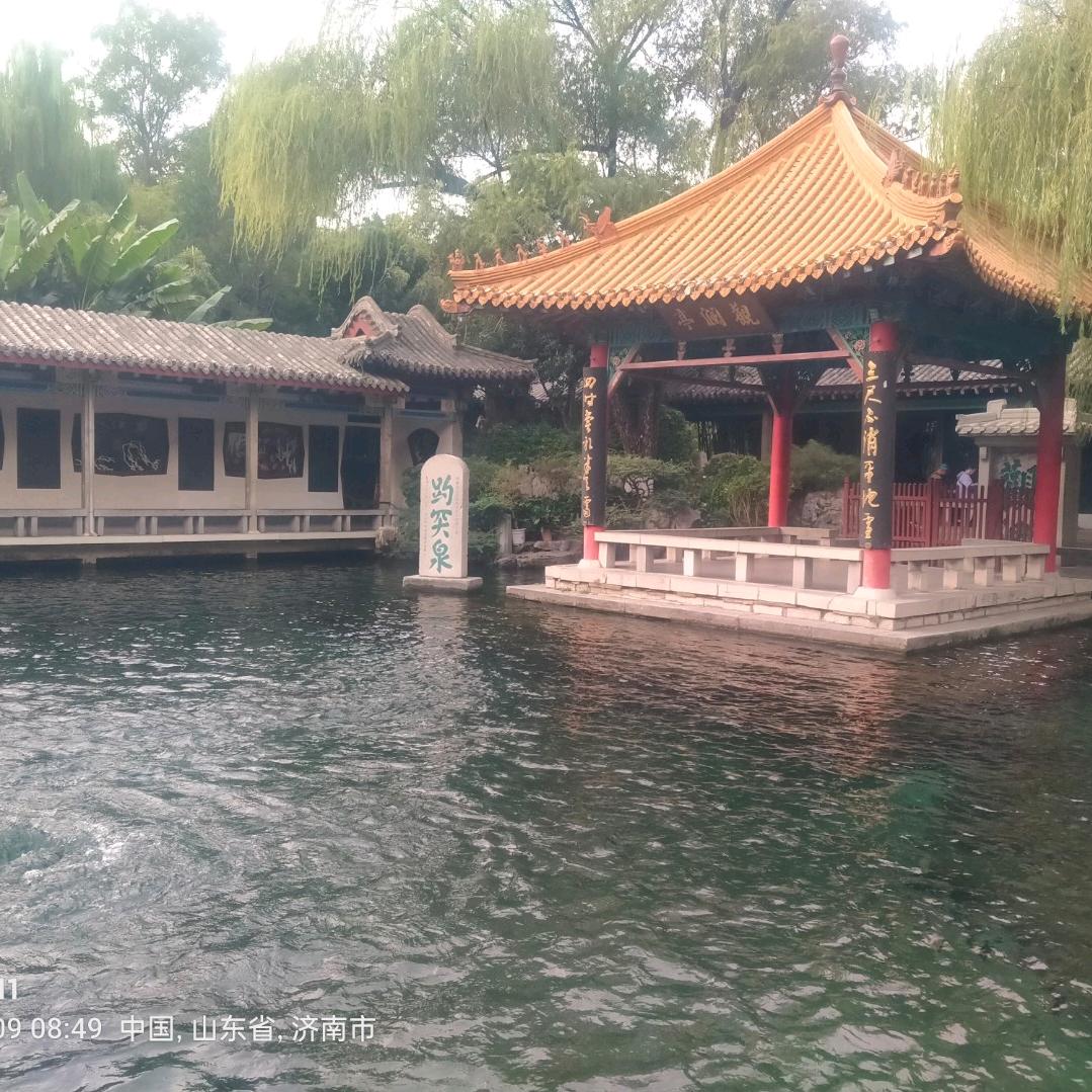 城里的月光