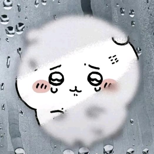 狸