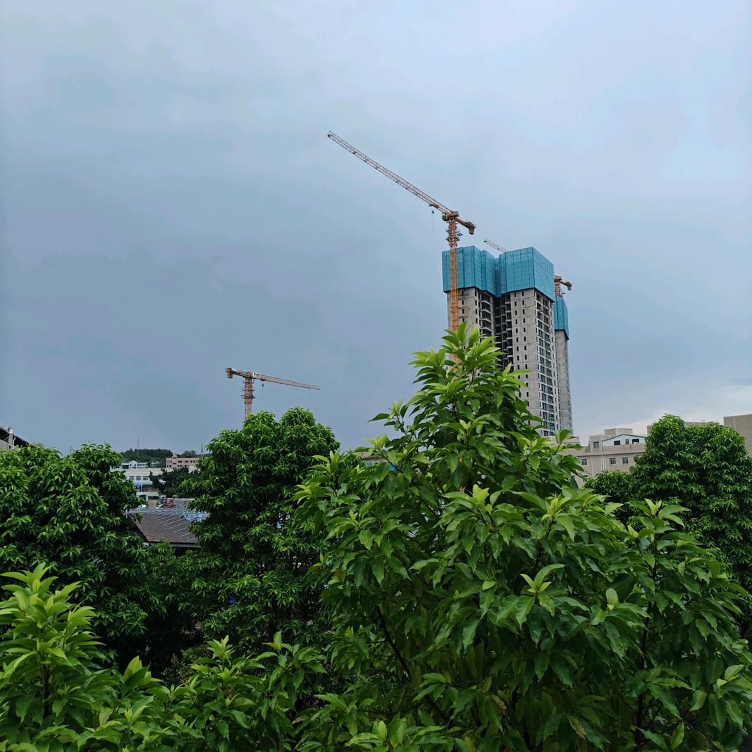 随缘🍃🌾
