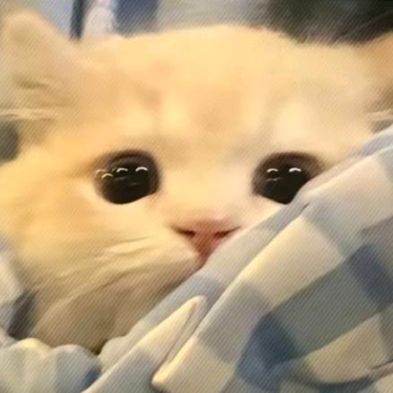 萌物出击