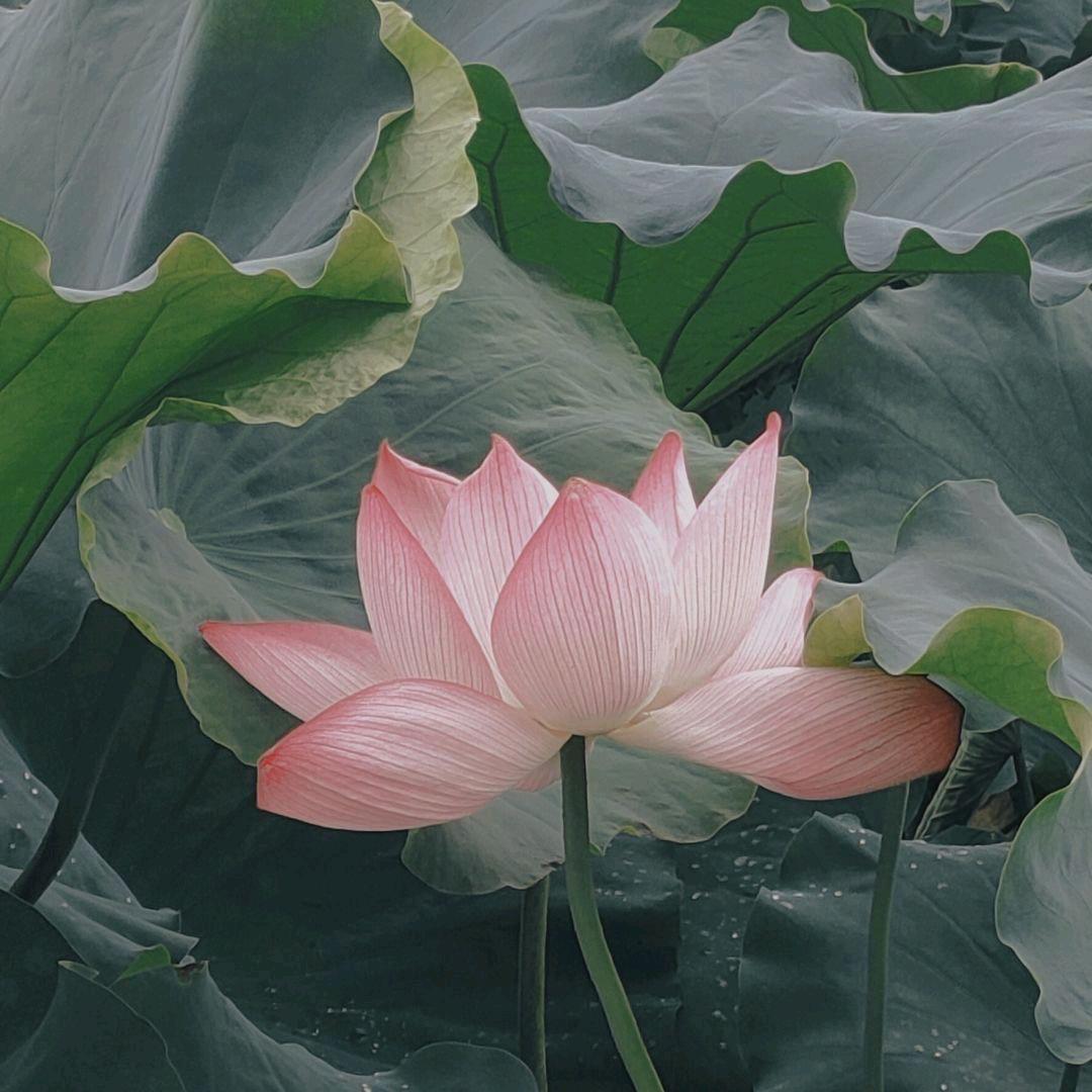 好货铺