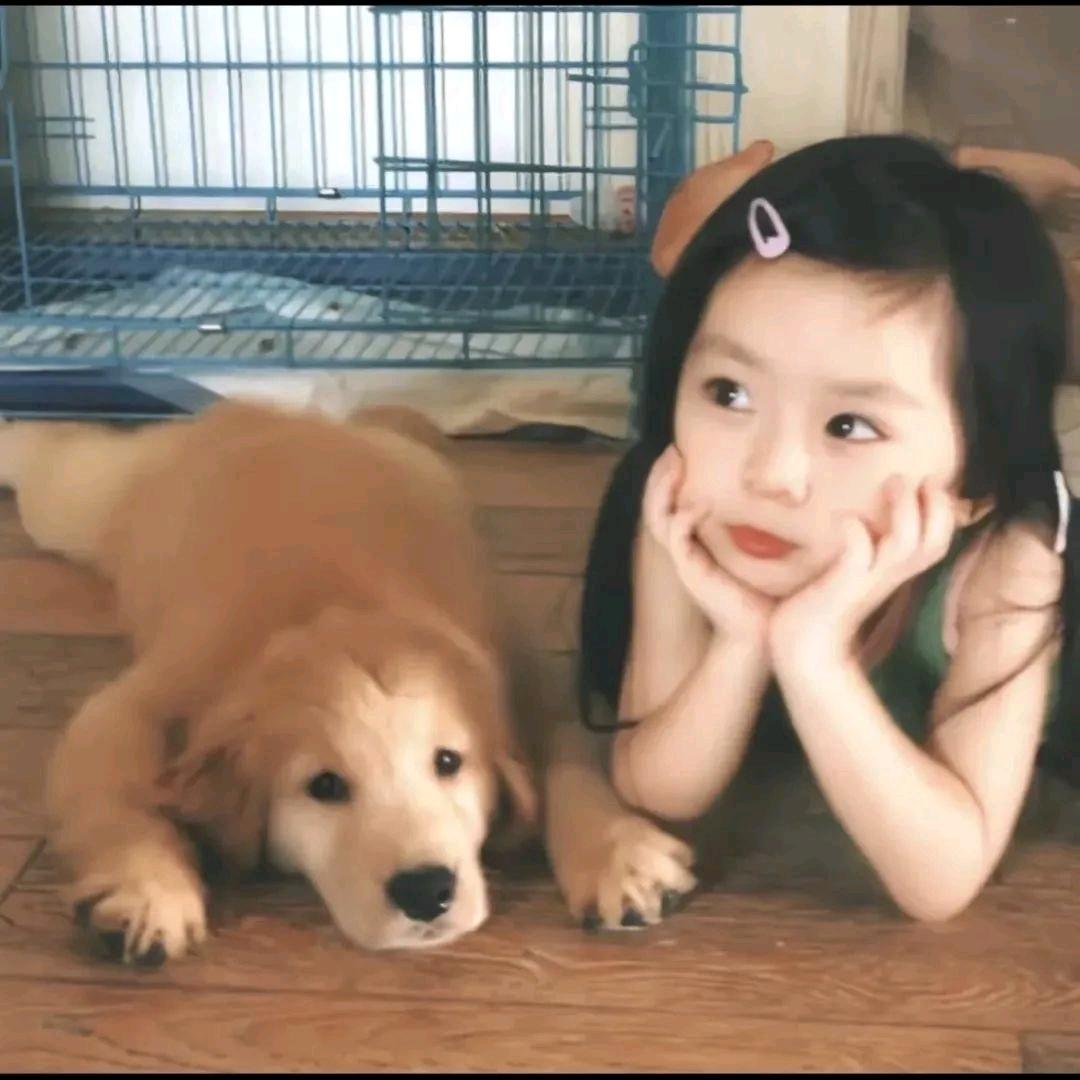顾七