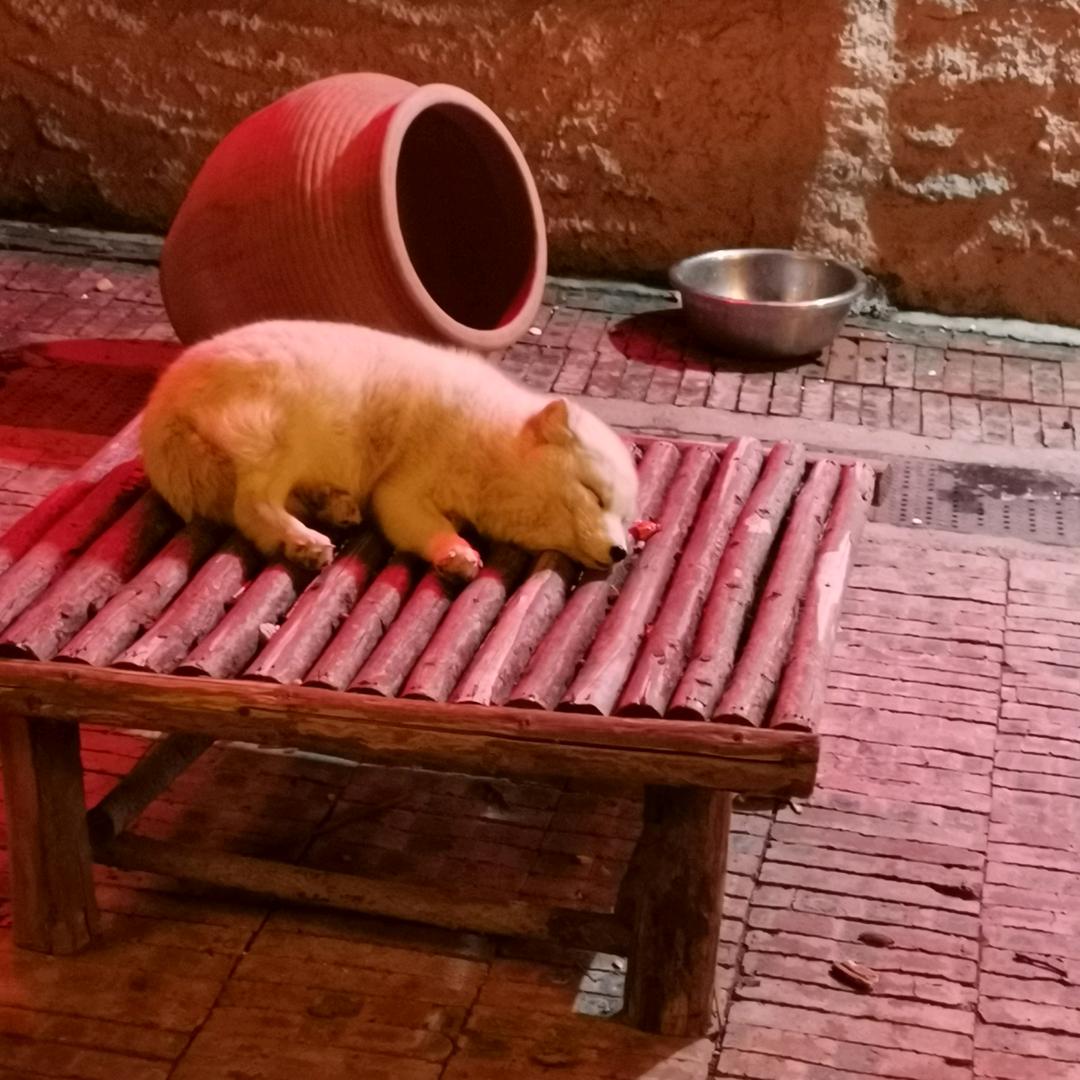 落日晚风的尽头