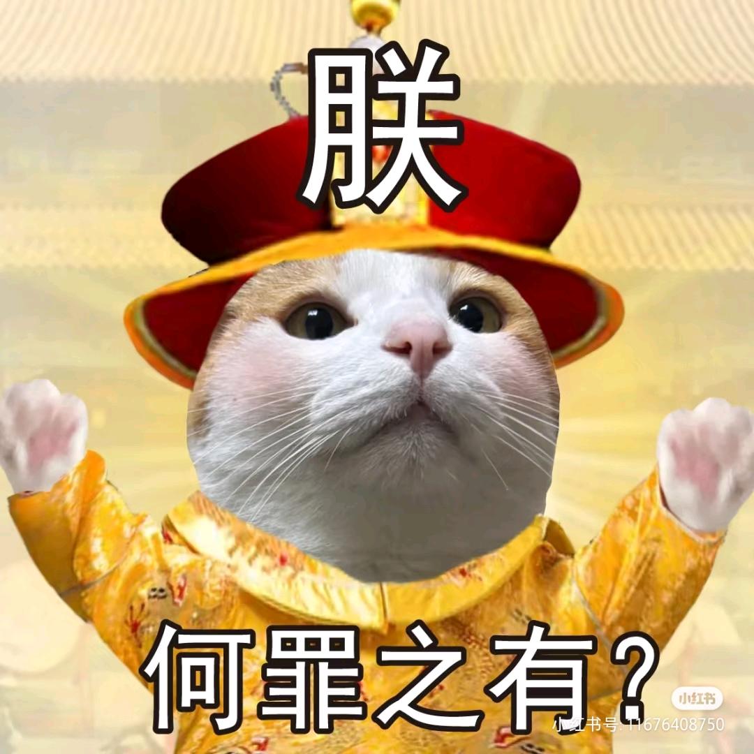 RL.栓Q🐱/小猫
