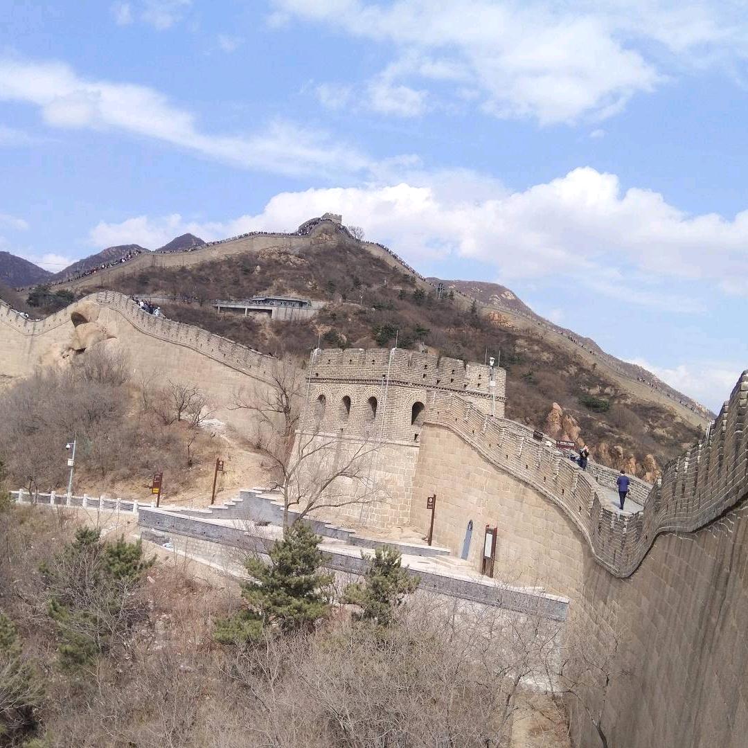 鱼之克星