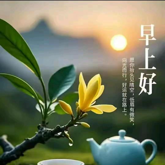 我是你最美的遇见