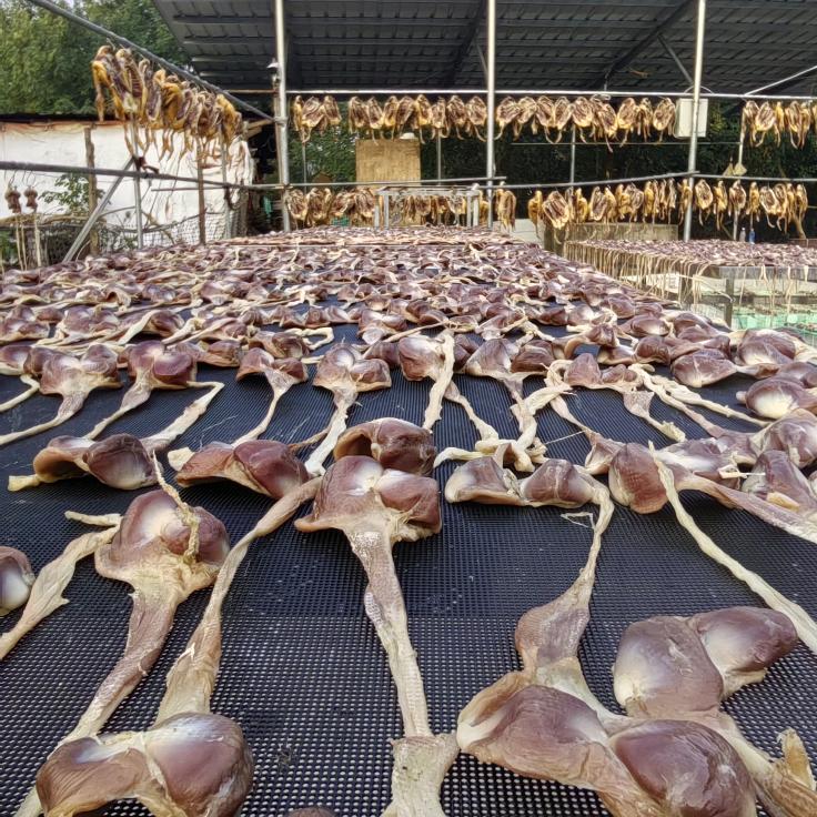 卖咸货的小姐姐