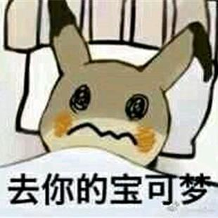 理塘顶真