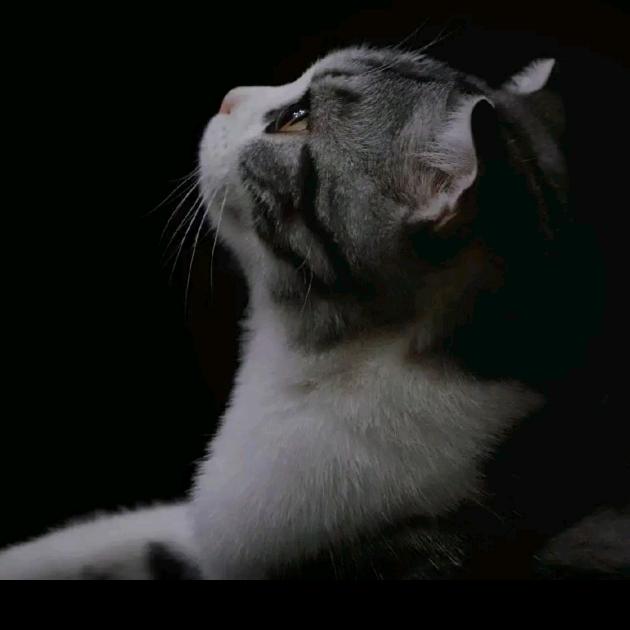 不期而遇：不负遇见