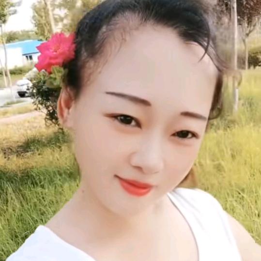 坠红尘（单身）