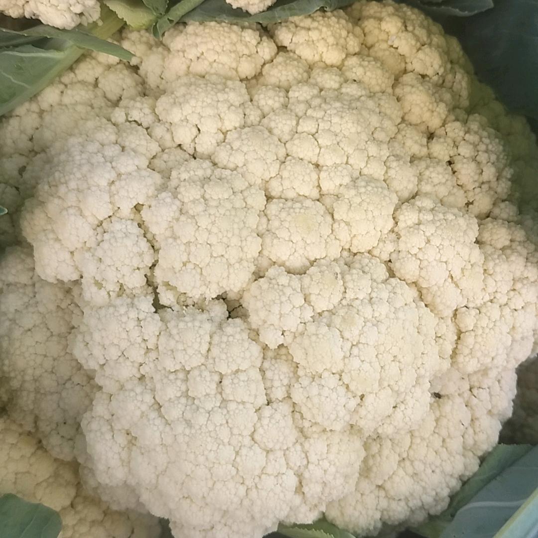 思远