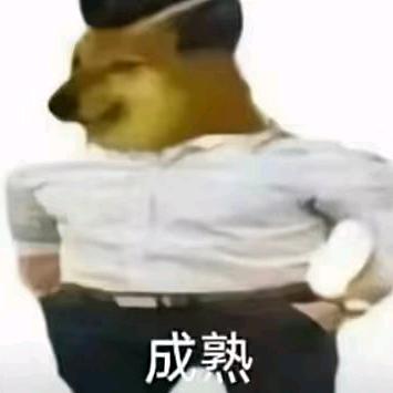 赵头像