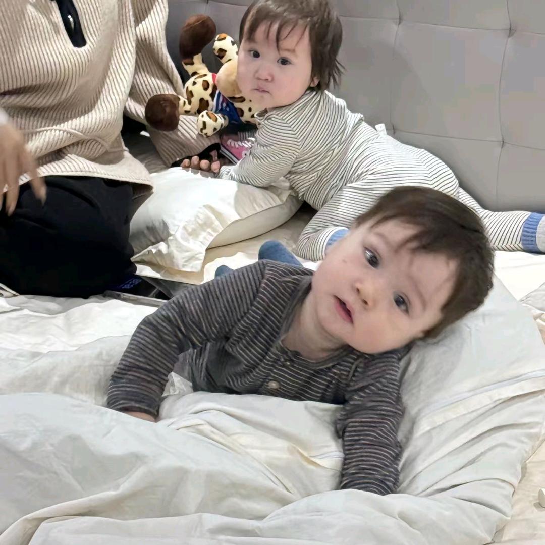 ෆ曲奇饼🍪🕊