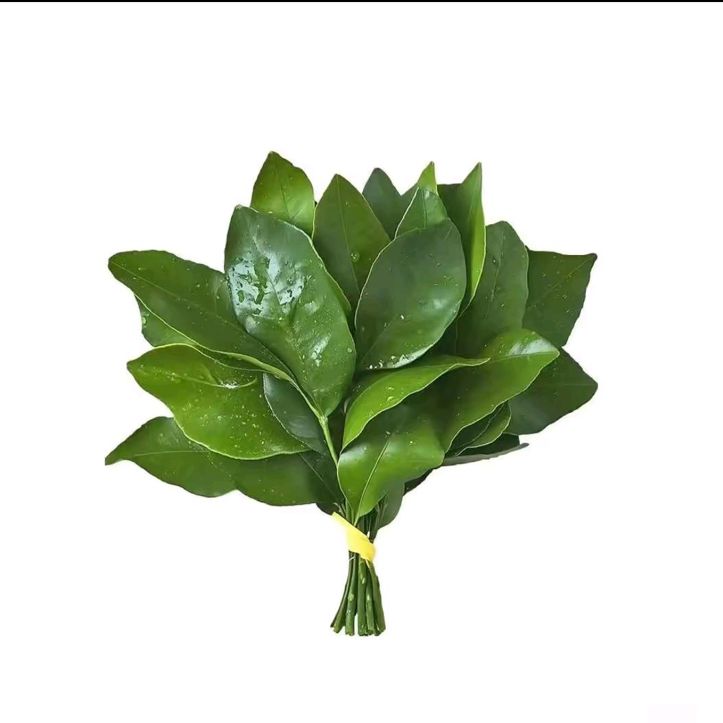 Yu-汝汝