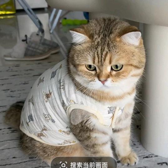 闲不住😜😜😜