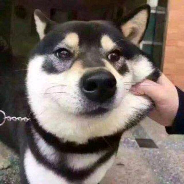 辅助主打陪伴