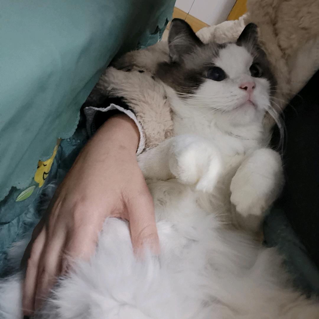 小蒋爱生活