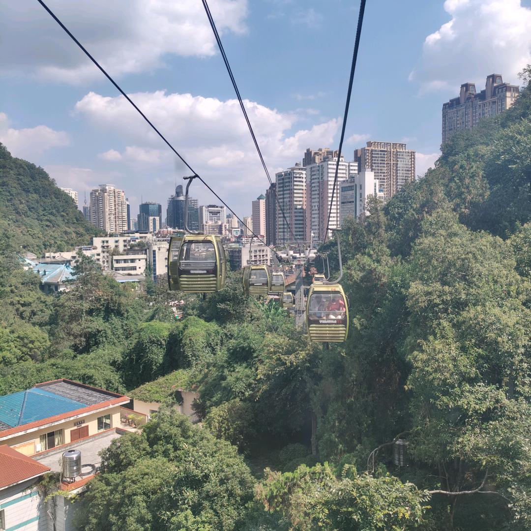 小雨努力生活