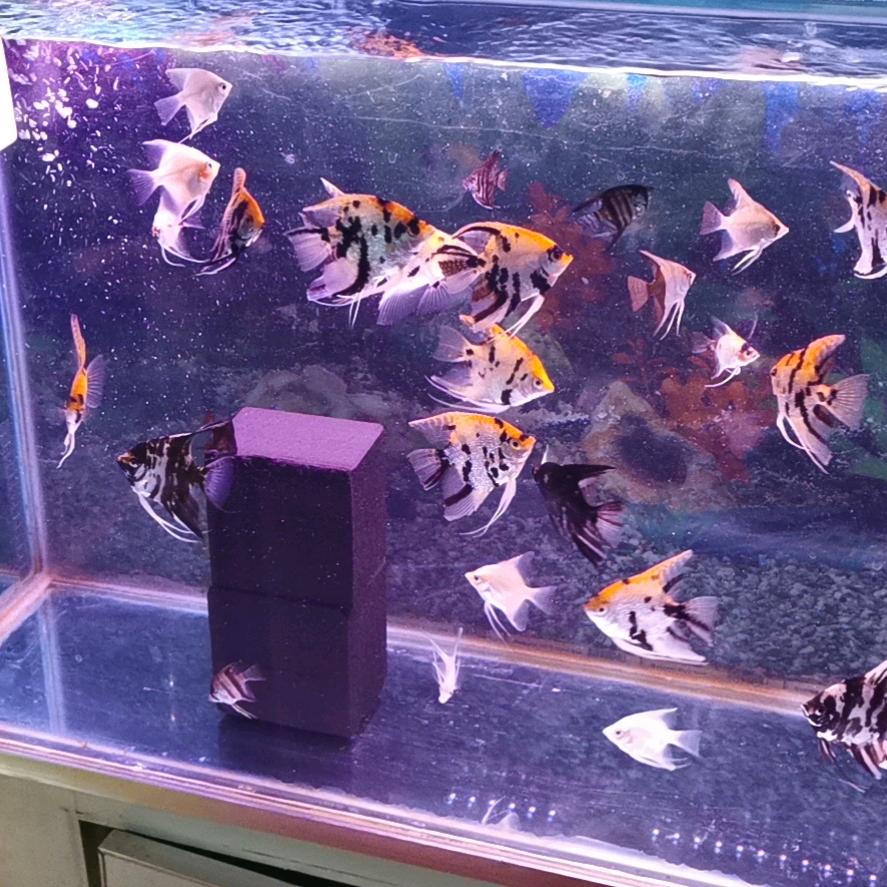 静看云起
