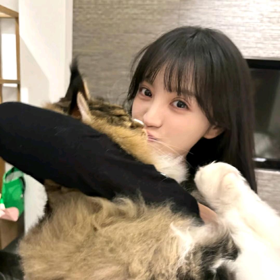 小狗脆啵啵（见过张星特版）