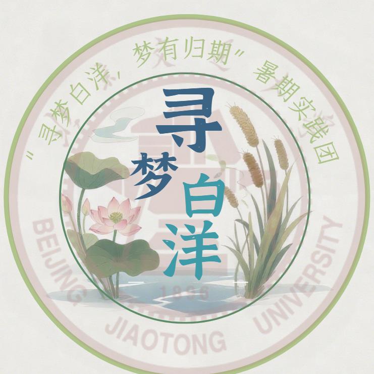 “寻梦白洋 梦有归期”暑期实践团
