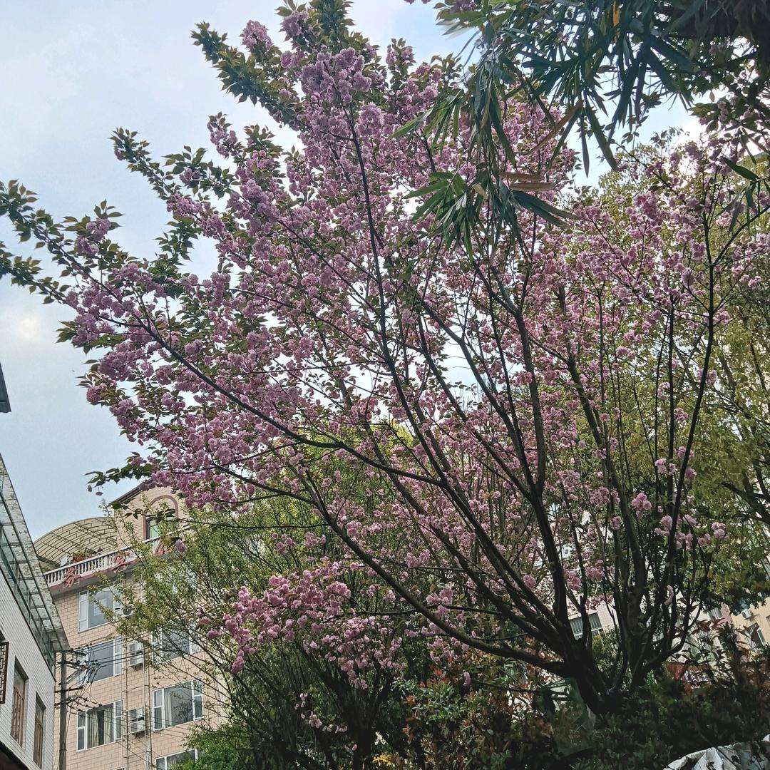 往后余生好好爱自己