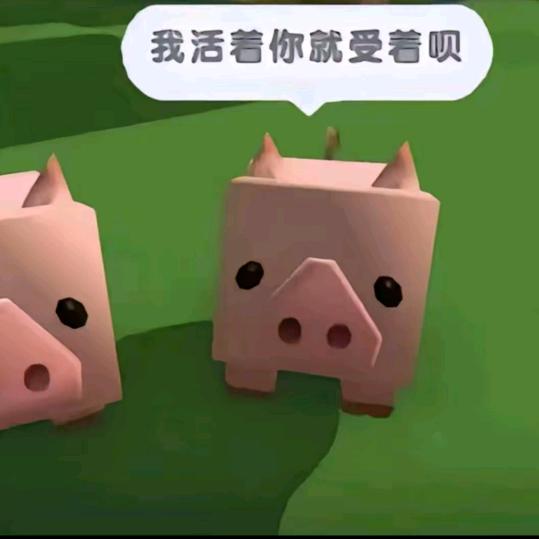 綿綿