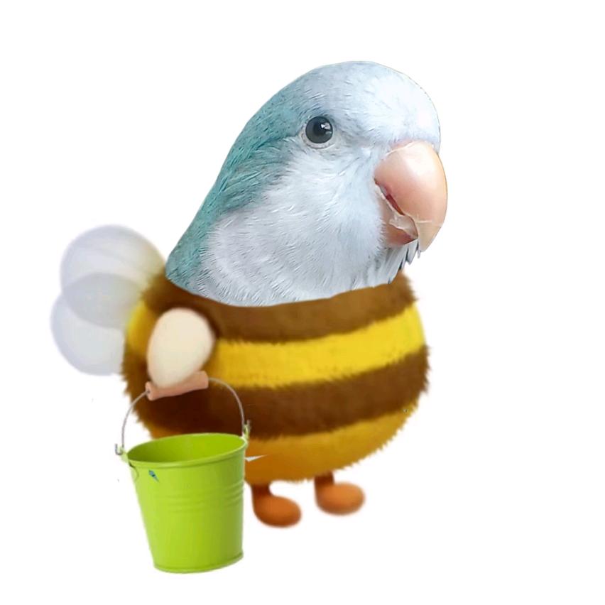 蓝渐层旺仔🐦