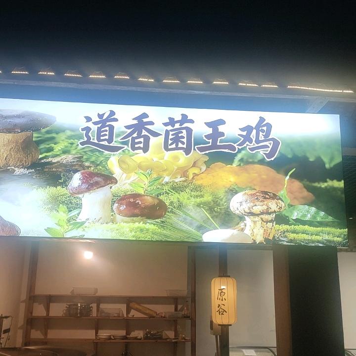 道香菌王鸡（朱店坡店）
