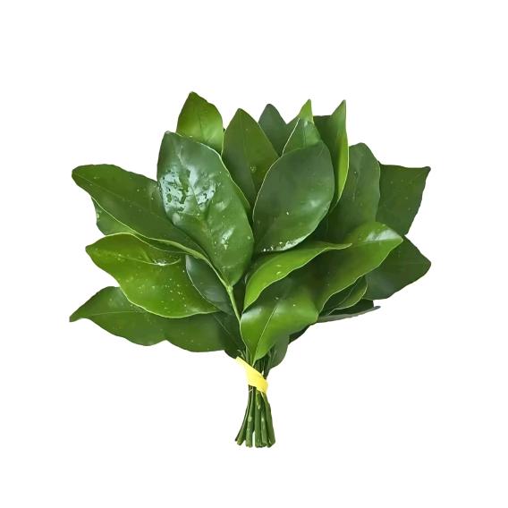 欣欣控