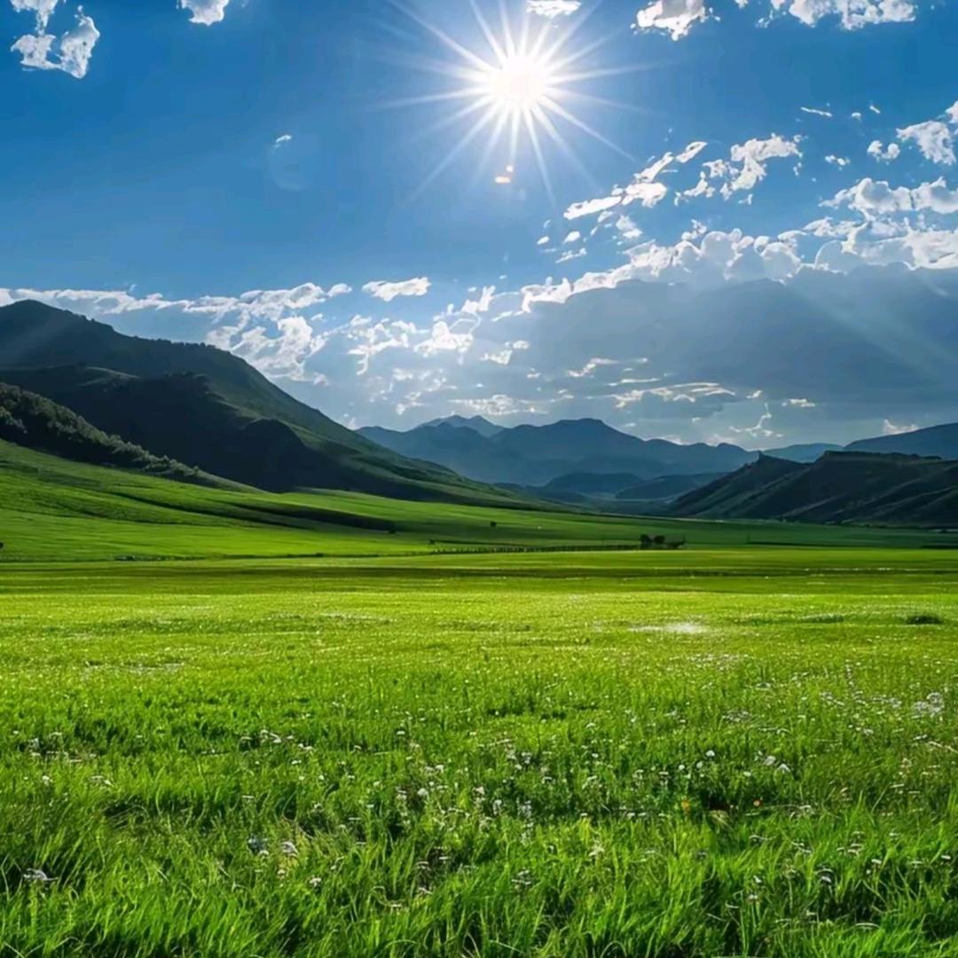 余生ᝰᩚ随心🍊