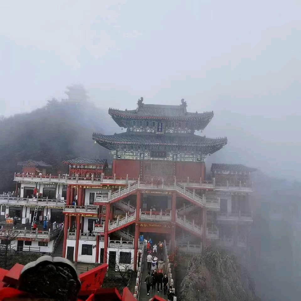 🐲墨羽清风🐲