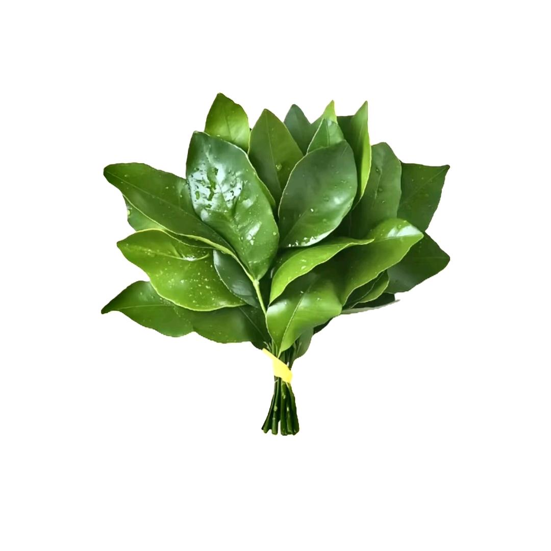 掉钱眼里💰🌱