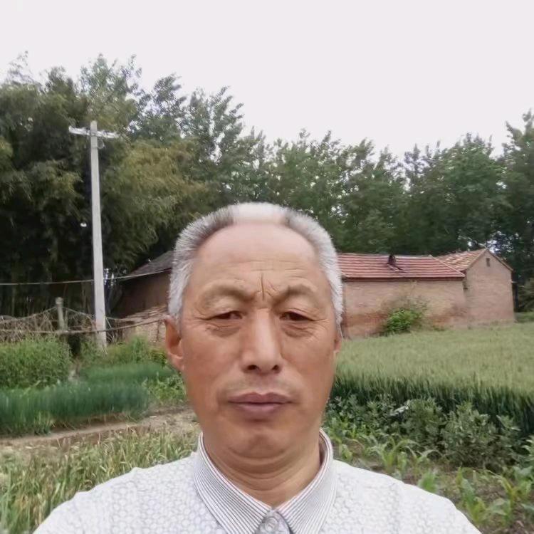 五三年，童年的回忆，