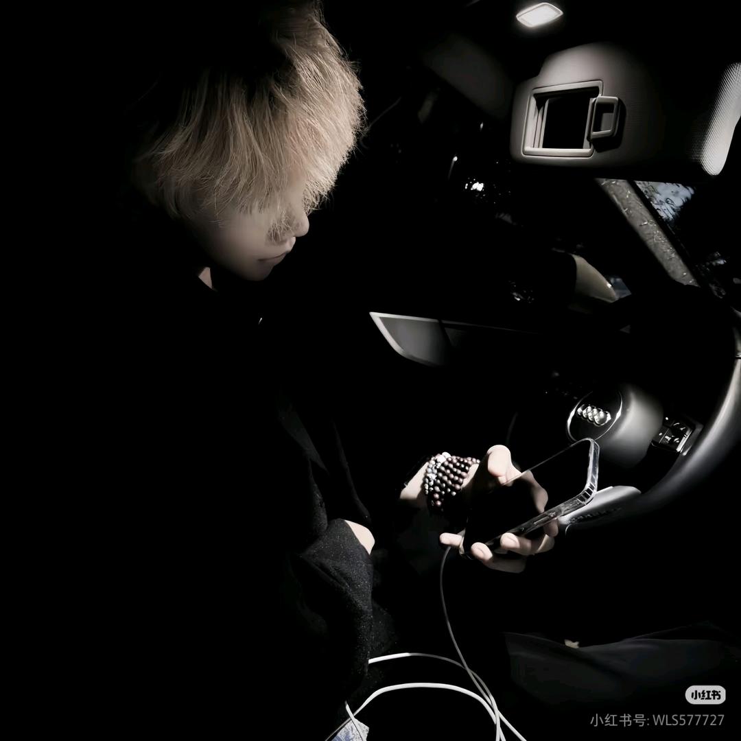 许我明年长眠不起