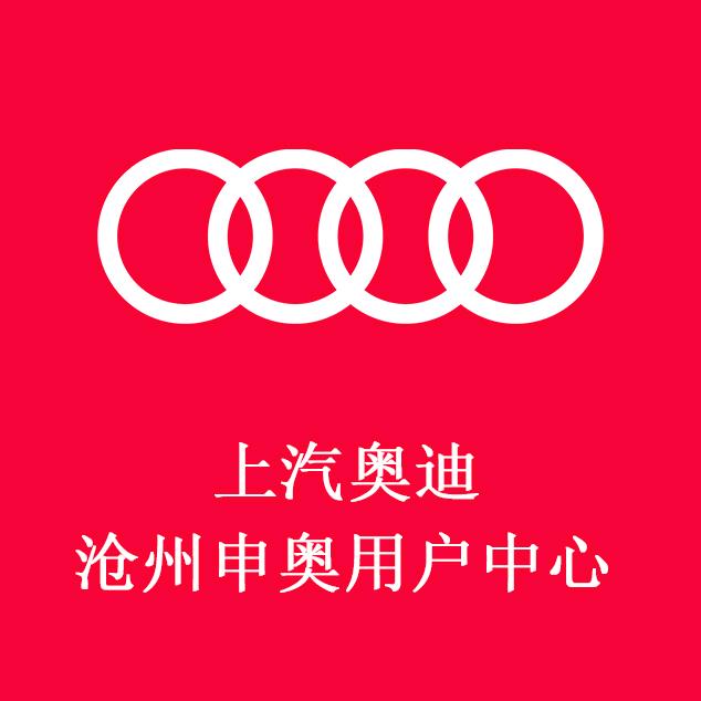 上汽奥迪沧州申奥-静静