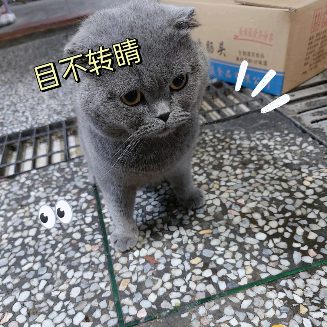 郑先生