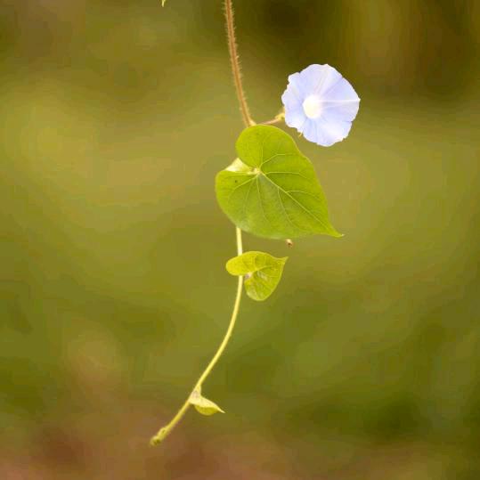 @@莉🍃🍃
