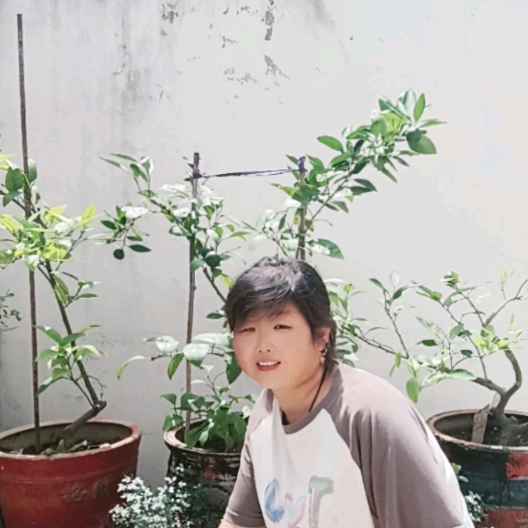 陈姐（晚上7点20首播）