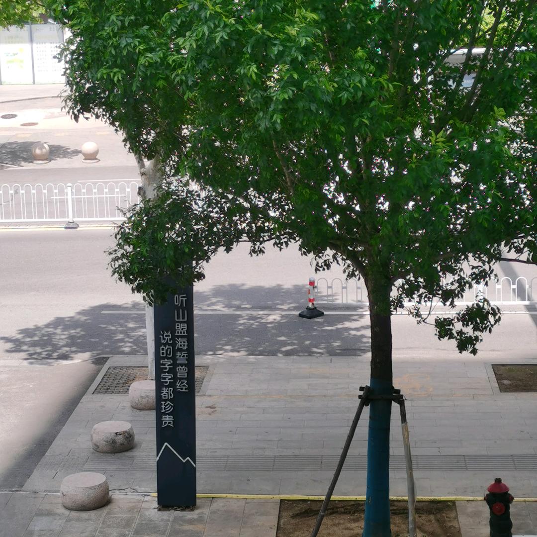 苏北