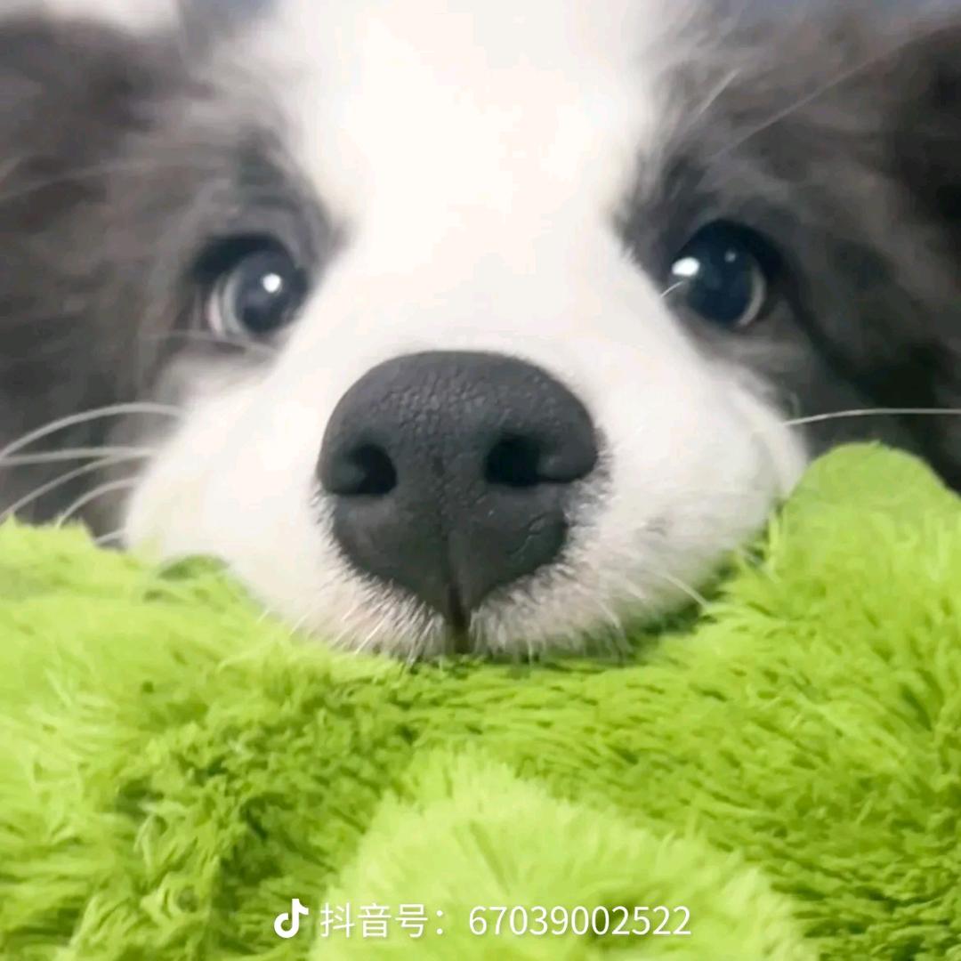 朵姐