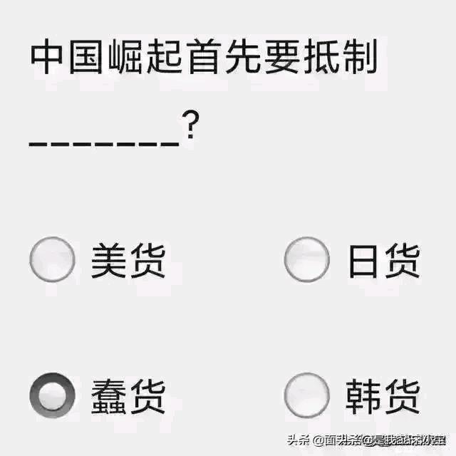 不放荡有羁绊爱自由